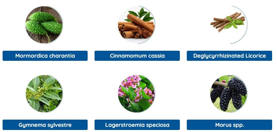 Gluco Extend Ingredients