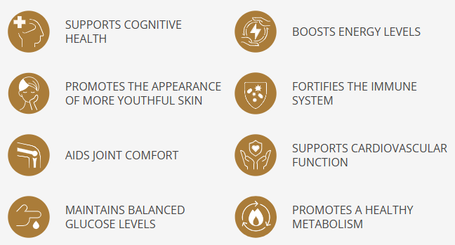 Longevity Activator Benefits