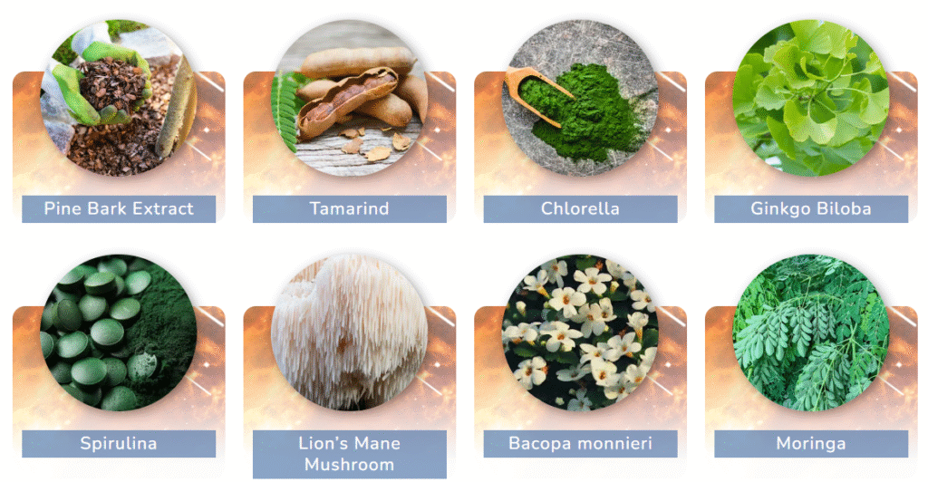 Pineal Pure Ingredients